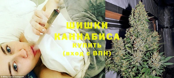 mdpv Новозыбков