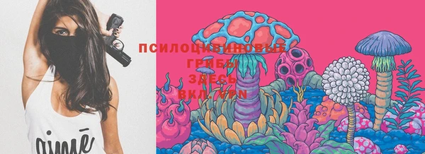 mdpv Новозыбков