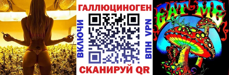 Галлюциногенные грибы Psilocybe  МЕГА ССЫЛКА  Коломна 