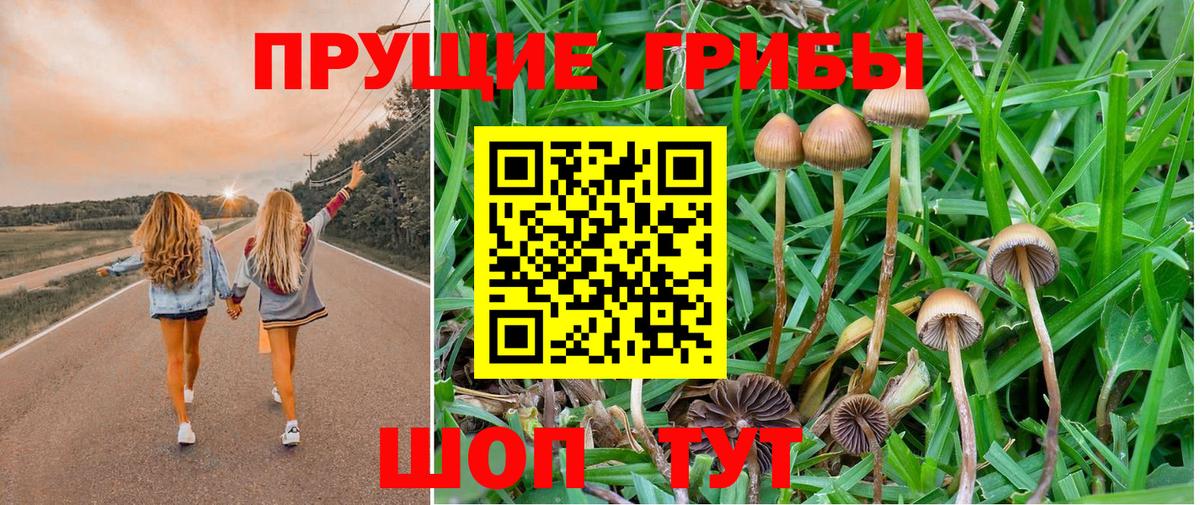 Коломна  Галлюциногенные грибы ЛСД  Вход с VPN 
