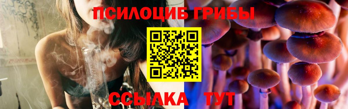 Псилоцибиновые грибы мицелий  сколько стоит  Коломна  Псилоцибиновые грибы Cubensis 