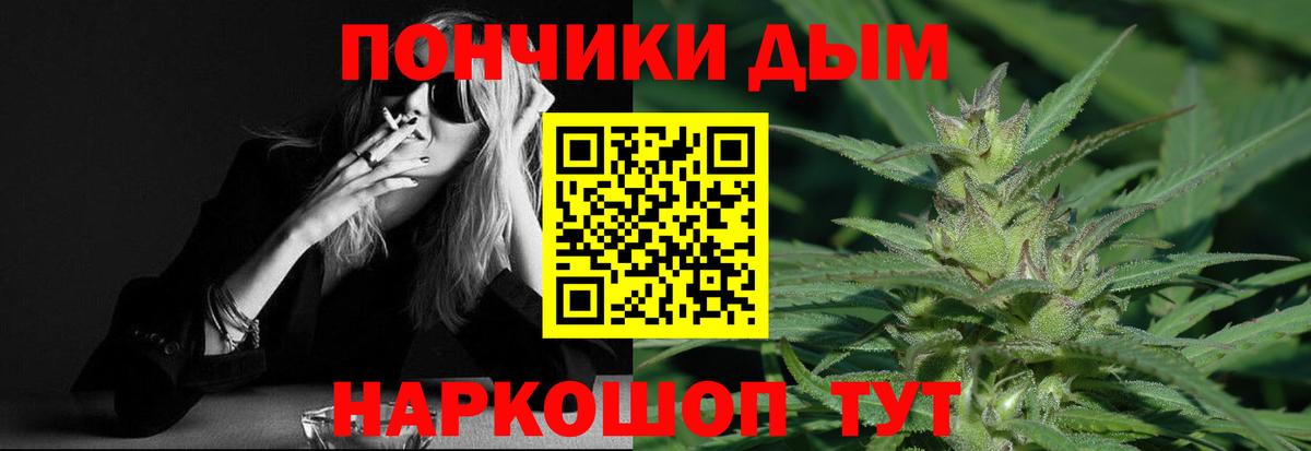 Конопля сатива Коломна